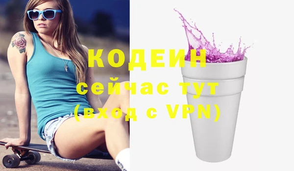 прущая мука Вяземский