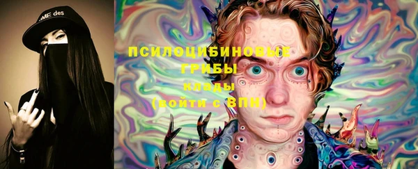 крисы Горнозаводск
