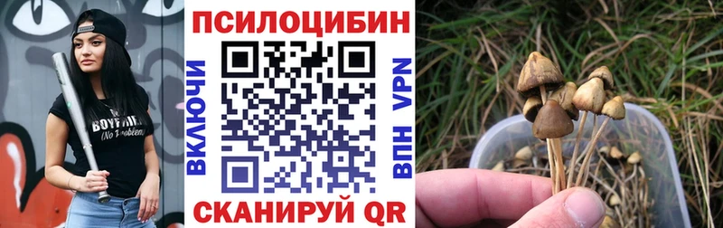 Псилоцибиновые грибы Cubensis  Дигора 